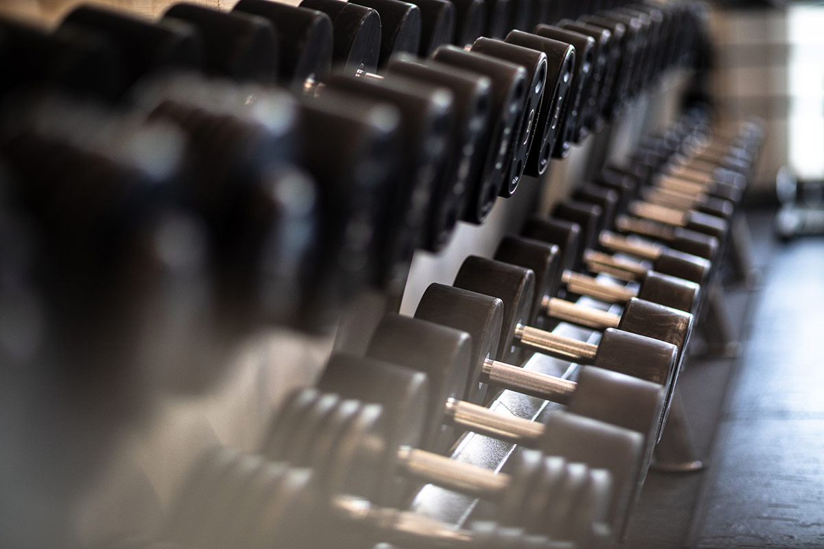 MK+ Fitnessclub Pirna – Hanteln MK+ Fitnessclub Pirna - Hanteln